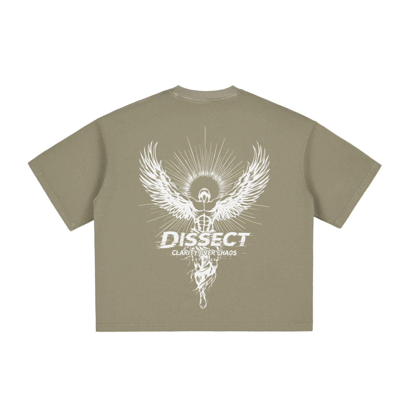 DISSECT VINTAGE WASHED BOXY REFINDED T-SHIRT GRAY GREEN