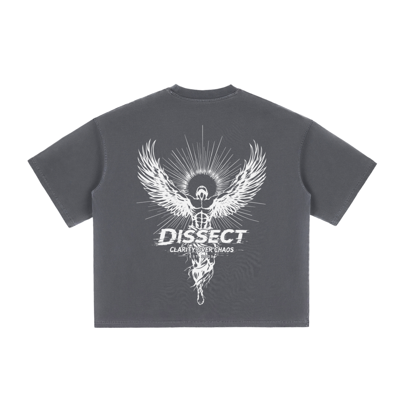 DISSECT VINTAGE REFINEMENT WASHED BOXY T-SHIRT HAZE GRAY
